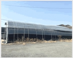  2025Ÿ��648 ���� �ϵ��� ���ܸ� �Ҹ� 396-1      ����(��1)���