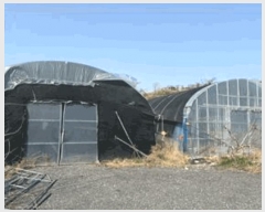  2025Ÿ��648 ���� �ϵ��� ���ܸ� �Ҹ� 396-1      ����(��1)���