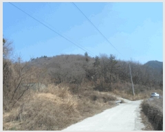  2025Ÿ��792 ���� ������ ������ ���ܸ� ��64-2      ����(�Ӿ�)���