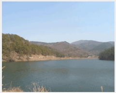  2025Ÿ��792 ���� ������ ������ ���ܸ� ��64-2      ����(�Ӿ�)���