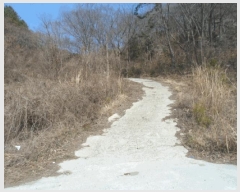  2025Ÿ��792 ���� ������ ������ ���ܸ� ��64-2      ����(�Ӿ�)���