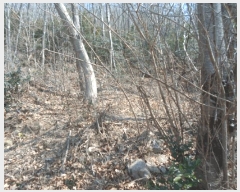  2025Ÿ��792 ���� ������ ������ ���ܸ� ��64-2      ����(�Ӿ�)���