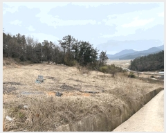  2025Ÿ��808 ���� ������ ����� ������ 51      ����(��1)���