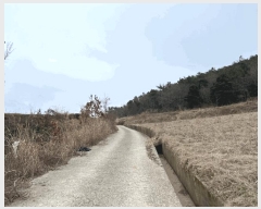  2025Ÿ��808 ���� ������ ����� ������ 51      ����(��1)���