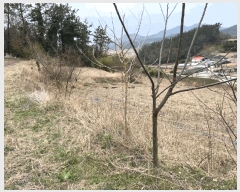  2025Ÿ��808 ���� ������ ����� ������ 51      ����(��1)���