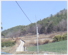  2025Ÿ��808 ���� ������ ����� ������ 51      ����(��1)���