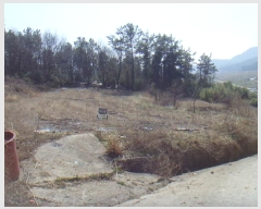  2025Ÿ��808 ���� ������ ����� ������ 51      ����(��1)���