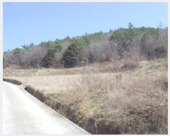  2025Ÿ��808 ���� ������ ����� ������ 51      ����(��1)���