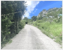  2025Ÿ��877  �Ӿ߰��