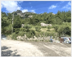  2025Ÿ��877  �Ӿ߰��