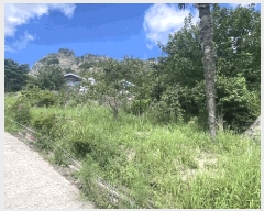  2025Ÿ��877  �Ӿ߰��