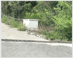  2025Ÿ��877  �Ӿ߰��