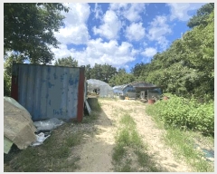  2025Ÿ��877  �Ӿ߰��