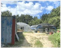  2025Ÿ��877  �Ӿ߰��