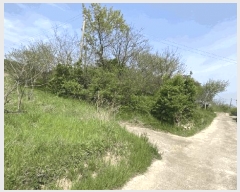  2025Ÿ��945 ���� �س��� ����� �� 174-1      ����(��1)���