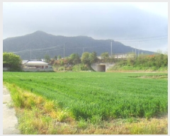  2025Ÿ��945 ���� �س��� ����� �� 174-1      ����(��1)���