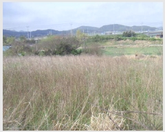  2025Ÿ��945 ���� �س��� ����� �� 174-1      ����(��1)���