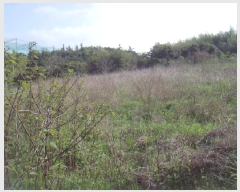  2025Ÿ��945 ���� �س��� ����� �� 174-1      ����(��1)���