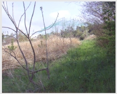  2025Ÿ��945 ���� �س��� ����� �� 174-1      ����(��1)���