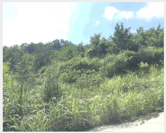  2025Ÿ��1245 ���� ������ �ǽŸ� �ŷ渮 905-2      ����(������)���