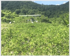  2025Ÿ��1245 ���� ������ �ǽŸ� �ŷ渮 905-2      ����(������)���