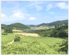  2025Ÿ��1245 ���� ������ �ǽŸ� �ŷ渮 905-2      ����(������)���