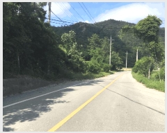  2025Ÿ��1245 ���� ������ �ǽŸ� �ŷ渮 905-2      ����(������)���