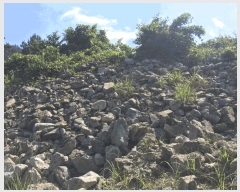  2025Ÿ��1245 ���� ������ �ǽŸ� �ŷ渮 905-2      ����(������)���