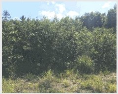  2025Ÿ��1245 ���� ������ �ǽŸ� �ŷ渮 905-2      ����(������)���