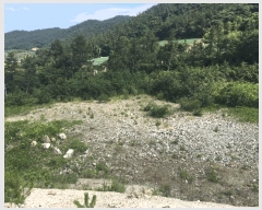  2025Ÿ��1245 ���� ������ �ǽŸ� �ŷ渮 905-2      ����(������)���