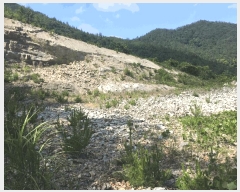  2025Ÿ��1245 ���� ������ �ǽŸ� �ŷ渮 905-2      ����(������)���