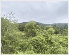  2025Ÿ��1375 ���� �ϵ��� ���� ��θ� 28      ����(��)���