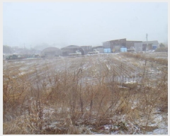  2025Ÿ��50285 ���� �س��� ����� �ͷ渮 684-2      ����(��)���