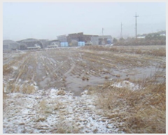  2025Ÿ��50285 ���� �س��� ����� �ͷ渮 684-2      ����(��)���