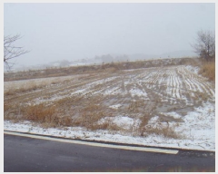  2025Ÿ��50285 ���� �س��� ����� �ͷ渮 684-2      ����(��)���