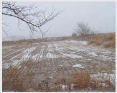  2025Ÿ��50285 ���� �س��� ����� �ͷ渮 684-2      ����(��)���