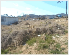  2025Ÿ��50325  ����