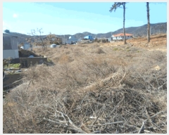  2025Ÿ��50325  ����