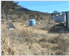  2025Ÿ��50325  ����