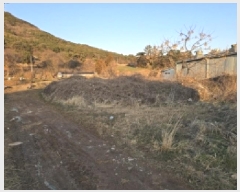  2025Ÿ��50325  ����