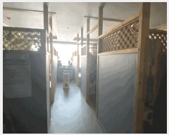  2025Ÿ��50328  �ٸ����ð��