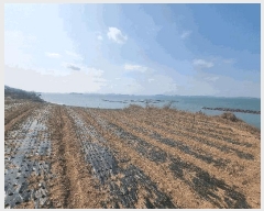  2025Ÿ��50334  �����