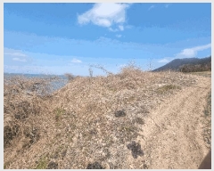  2025Ÿ��50334  �����