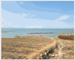  2025Ÿ��50334  �����