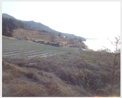  2025Ÿ��50334  �����