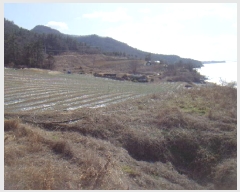  2025Ÿ��50334  �����