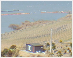  2025Ÿ��50334  �����