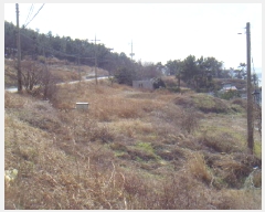  2025Ÿ��50335 ���� �س��� ȭ���� �ſ��� 345      ����(��1)���