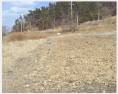  2025Ÿ��50335 ���� �س��� ȭ���� �ſ��� 345      ����(��1)���