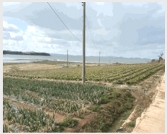  2025Ÿ��50336 ���� �س��� ȭ���� ������ 873      ����(��1)���